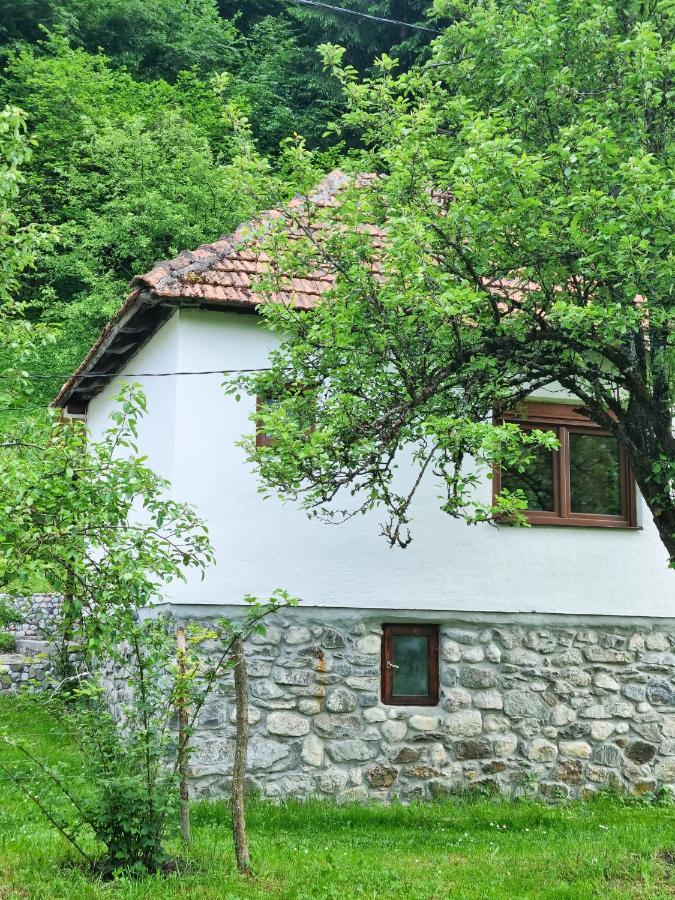 Farmstead Green Haven Mojkovac Exterior photo